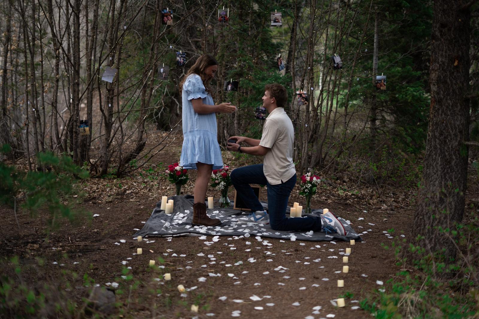The proposal